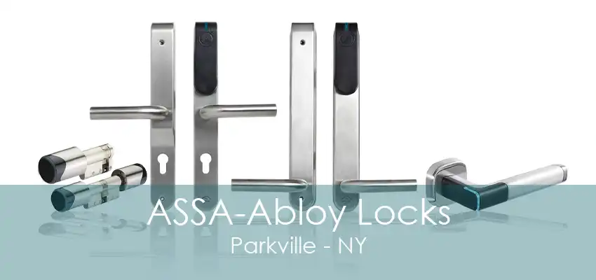 ASSA-Abloy Locks Parkville - NY