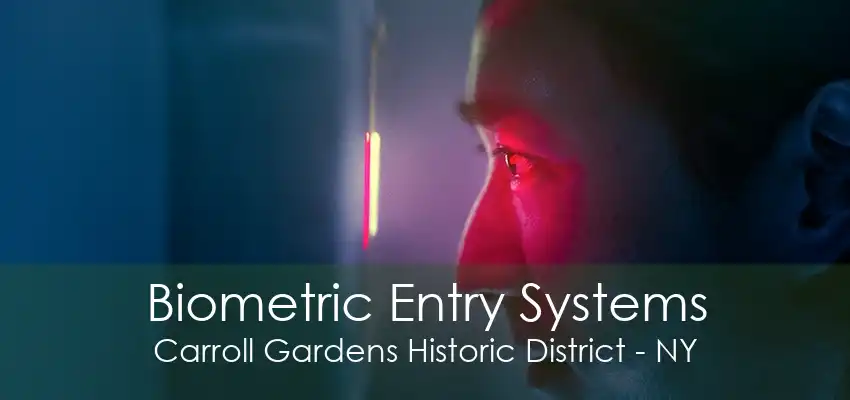 Biometric Entry Systems Carroll Gardens Historic District - NY