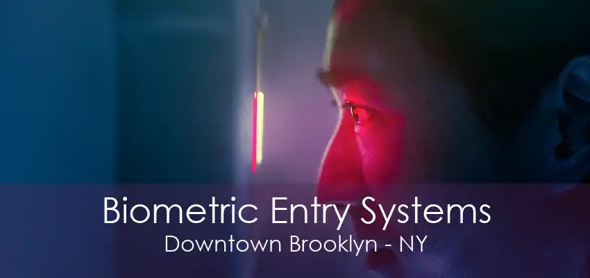 Biometric Entry Systems Downtown Brooklyn - NY