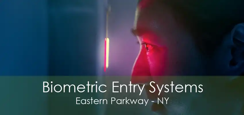 Biometric Entry Systems Eastern Parkway - NY