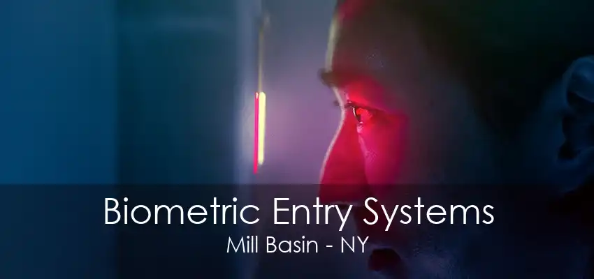 Biometric Entry Systems Mill Basin - NY