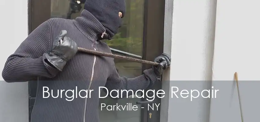 Burglar Damage Repair Parkville - NY