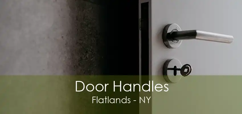 Door Handles Flatlands - NY