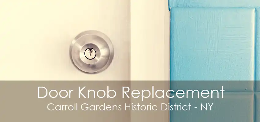 Door Knob Replacement Carroll Gardens Historic District - NY