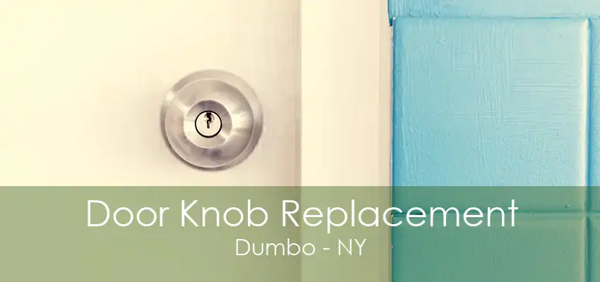 Door Knob Replacement Dumbo - NY