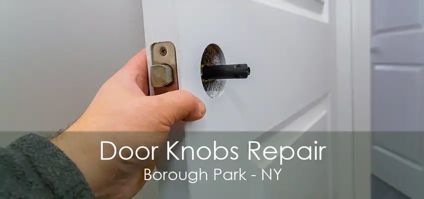 Door Knobs Repair Borough Park - NY