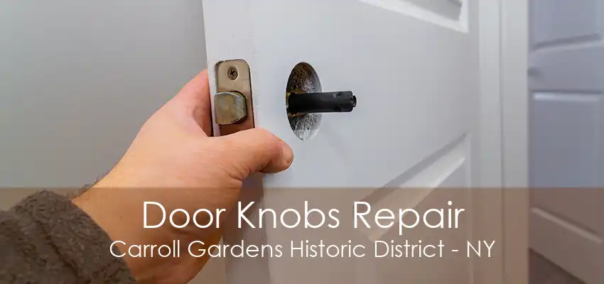 Door Knobs Repair Carroll Gardens Historic District - NY