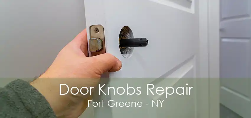 Door Knobs Repair Fort Greene - NY