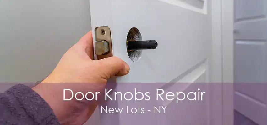 Door Knobs Repair New Lots - NY