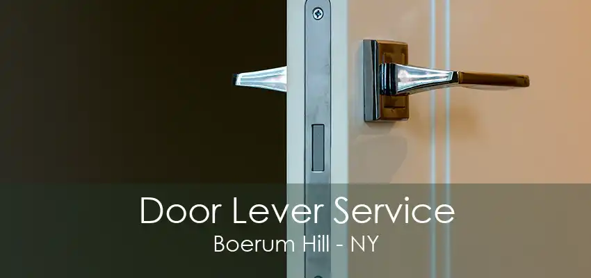 Door Lever Service Boerum Hill - NY