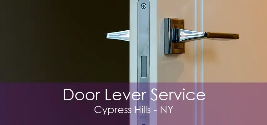 Door Lever Service Cypress Hills - NY