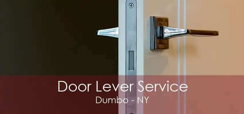 Door Lever Service Dumbo - NY