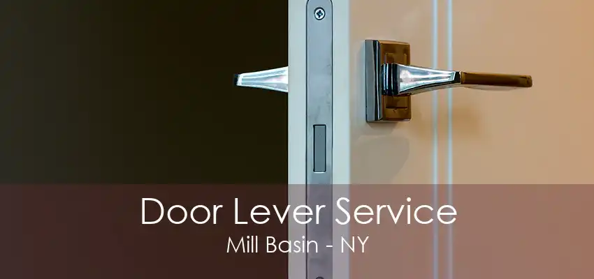 Door Lever Service Mill Basin - NY