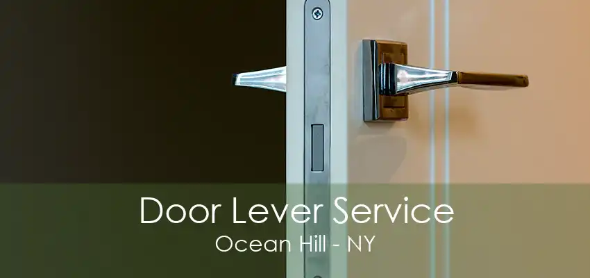 Door Lever Service Ocean Hill - NY