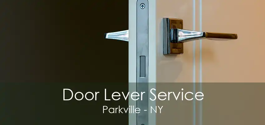 Door Lever Service Parkville - NY