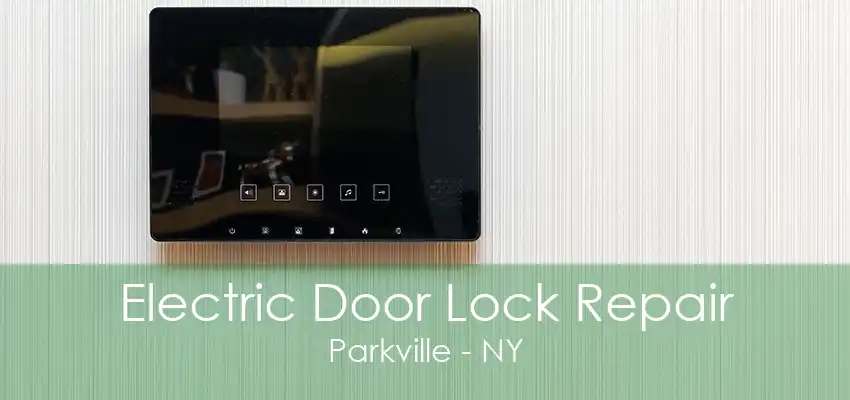 Electric Door Lock Repair Parkville - NY