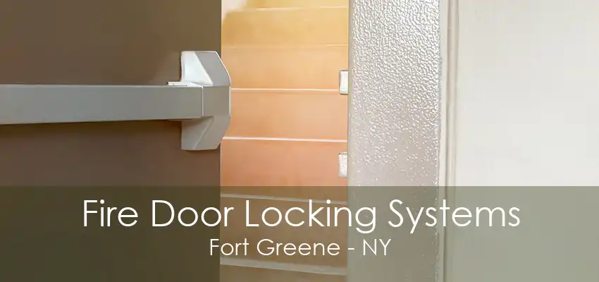 Fire Door Locking Systems Fort Greene - NY