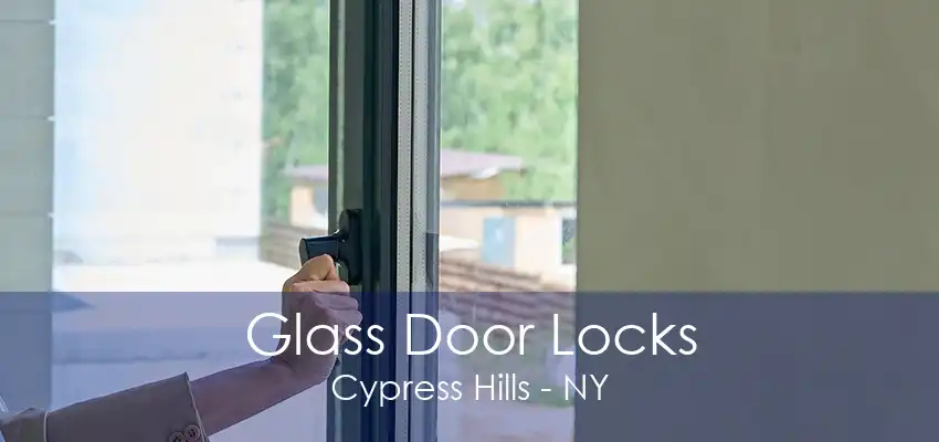 Glass Door Locks Cypress Hills - NY