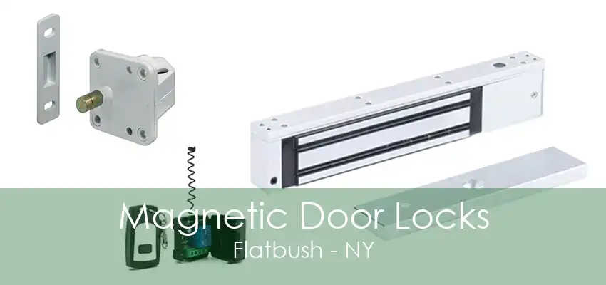 Magnetic Door Locks Flatbush - NY