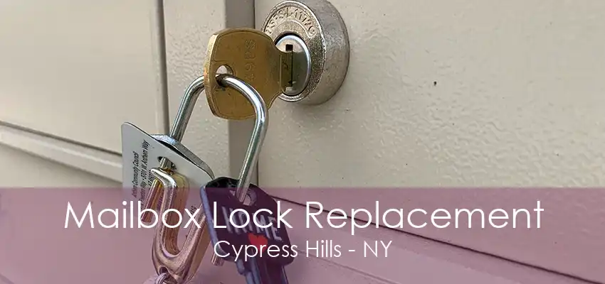 Mailbox Lock Replacement Cypress Hills - NY