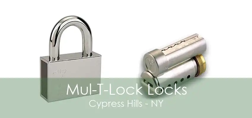 Mul-T-Lock Locks Cypress Hills - NY