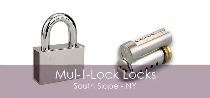 Mul-T-Lock Locks South Slope - NY