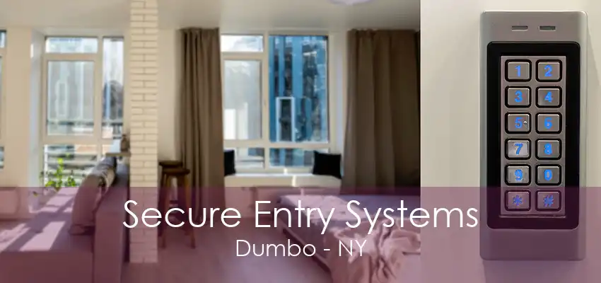 Secure Entry Systems Dumbo - NY