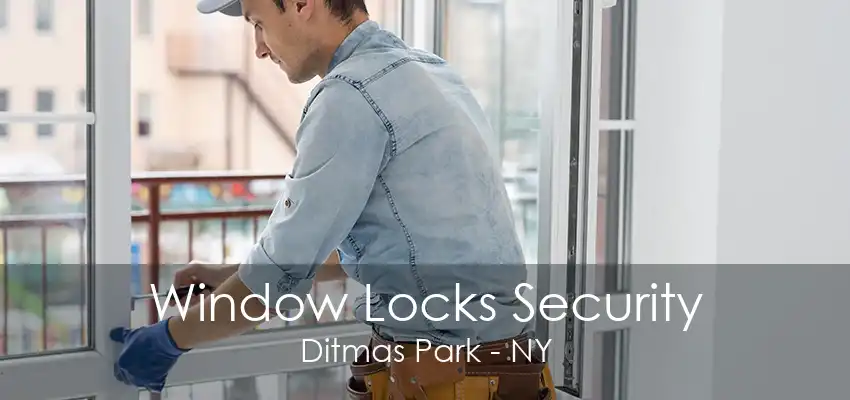 Window Locks Security Ditmas Park - NY